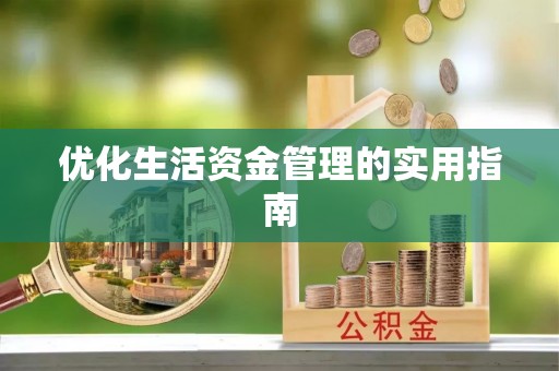 西夏优化生活资金管理的实用指南