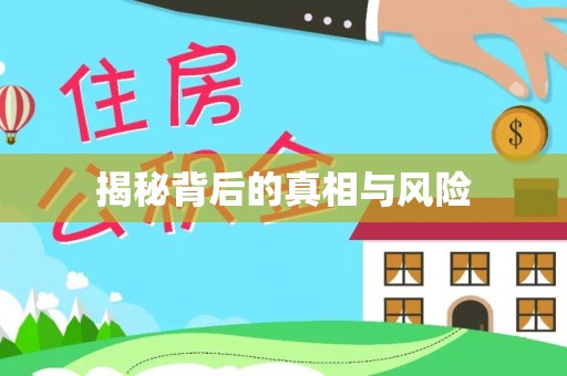 西夏揭秘背后的真相与风险
