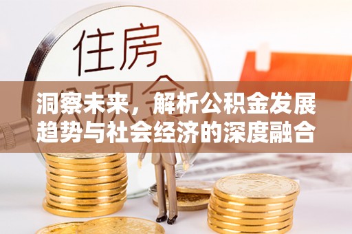 西夏洞察未来，解析公积金发展趋势与社会经济的深度融合