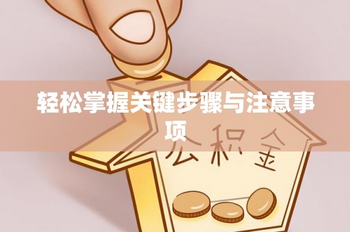 西夏轻松掌握关键步骤与注意事项