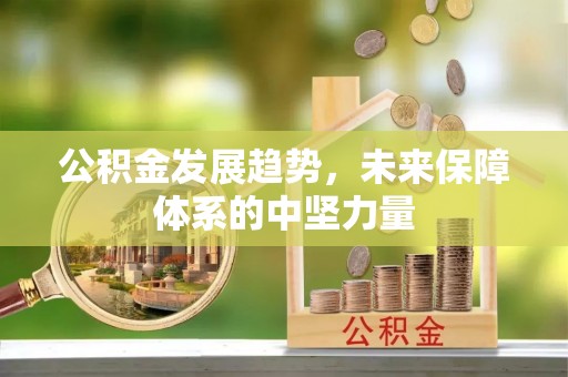 西夏公积金发展趋势，未来保障体系的中坚力量