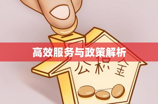 西夏高效服务与政策解析