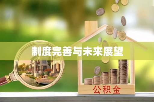 西夏制度完善与未来展望