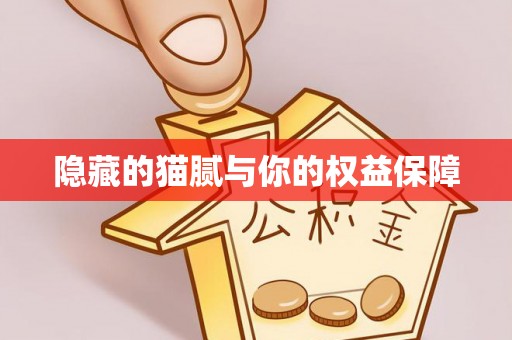 西夏隐藏的猫腻与你的权益保障