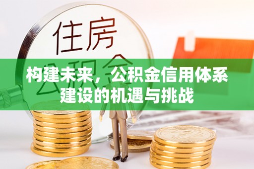 西夏构建未来，公积金信用体系建设的机遇与挑战