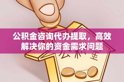 西夏公积金咨询代办提取，高效解决你的资金需求问题
