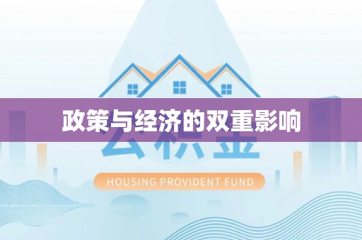 西夏政策与经济的双重影响