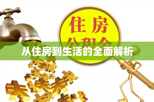 西夏从住房到生活的全面解析