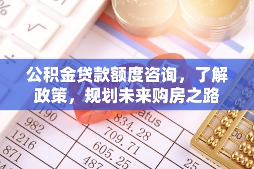 西夏公积金贷款额度咨询，了解政策，规划未来购房之路