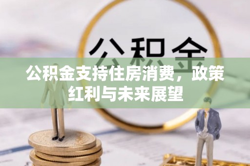 西夏公积金支持住房消费，政策红利与未来展望