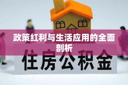 西夏政策红利与生活应用的全面剖析