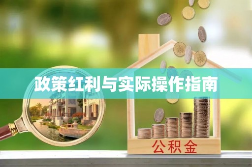 西夏政策红利与实际操作指南
