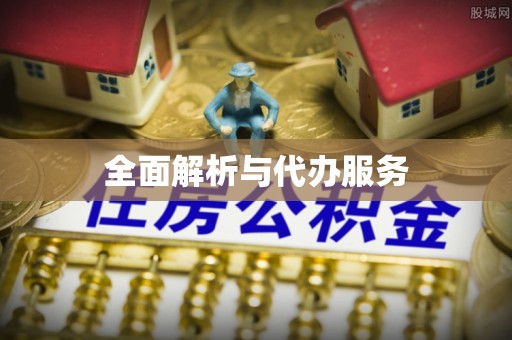 西夏全面解析与代办服务