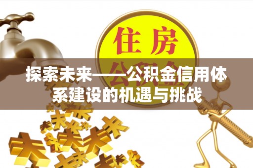 西夏探索未来——公积金信用体系建设的机遇与挑战
