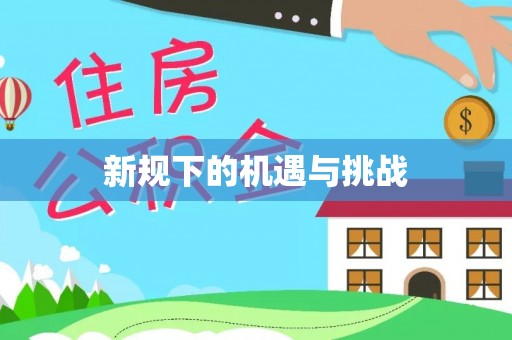 西夏新规下的机遇与挑战