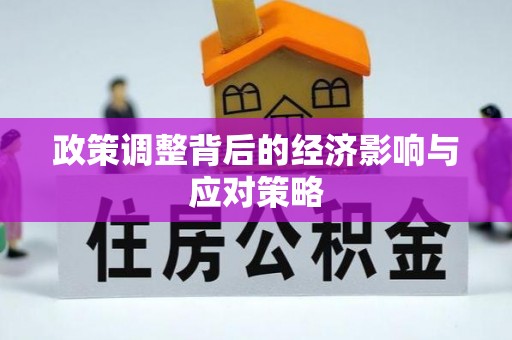 西夏政策调整背后的经济影响与应对策略