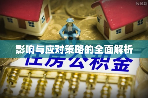 西夏影响与应对策略的全面解析