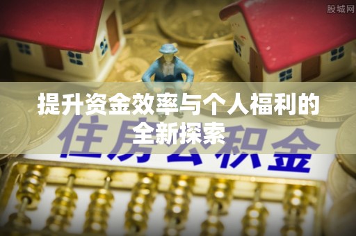 西夏提升资金效率与个人福利的全新探索