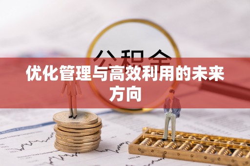 西夏优化管理与高效利用的未来方向