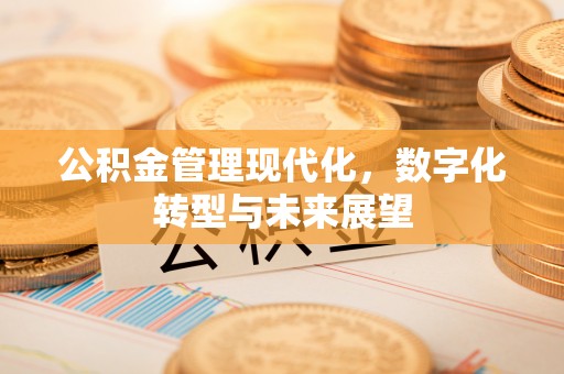 西夏公积金管理现代化，数字化转型与未来展望