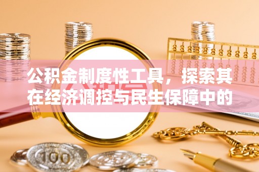 西夏公积金制度性工具，探索其在经济调控与民生保障中的重要作用