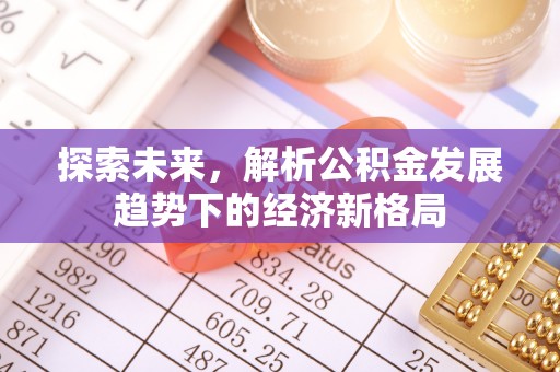 西夏探索未来，解析公积金发展趋势下的经济新格局