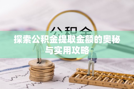 西夏探索公积金提取金额的奥秘与实用攻略