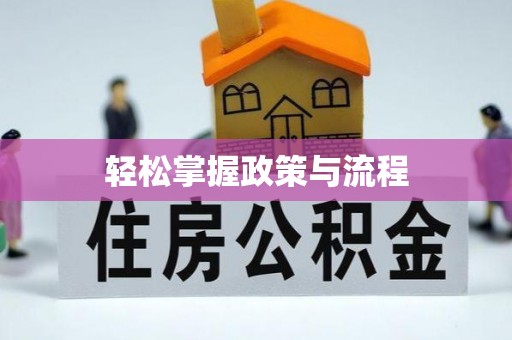 西夏轻松掌握政策与流程