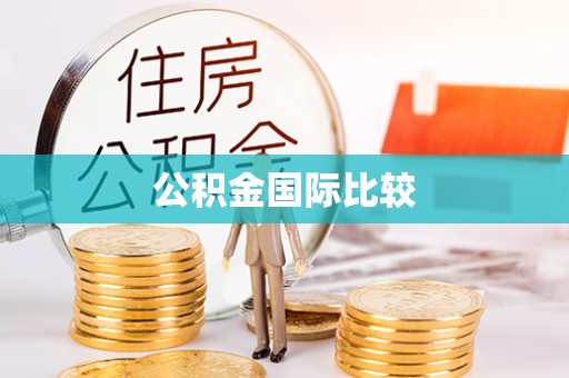 西夏公积金国际比较