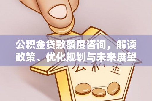 西夏公积金贷款额度咨询，解读政策、优化规划与未来展望