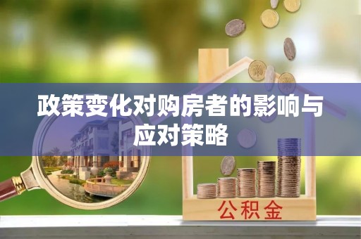 西夏政策变化对购房者的影响与应对策略