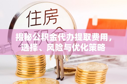 西夏揭秘公积金代办提取费用，选择、风险与优化策略