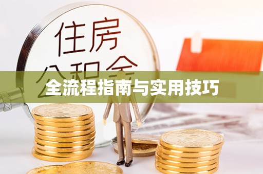 西夏全流程指南与实用技巧