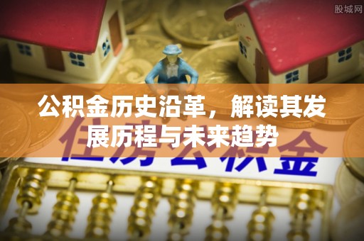西夏公积金历史沿革，解读其发展历程与未来趋势