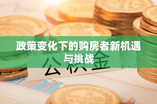 西夏政策变化下的购房者新机遇与挑战