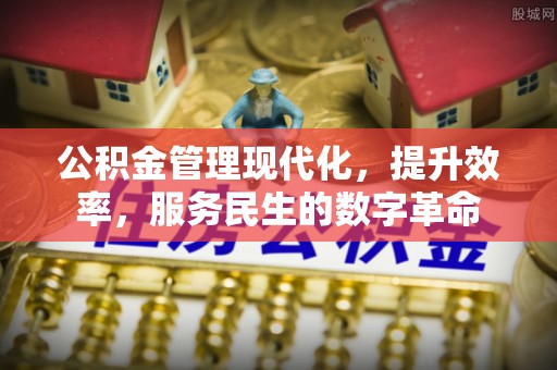 西夏公积金管理现代化，提升效率，服务民生的数字革命