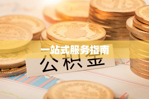 西夏一站式服务指南