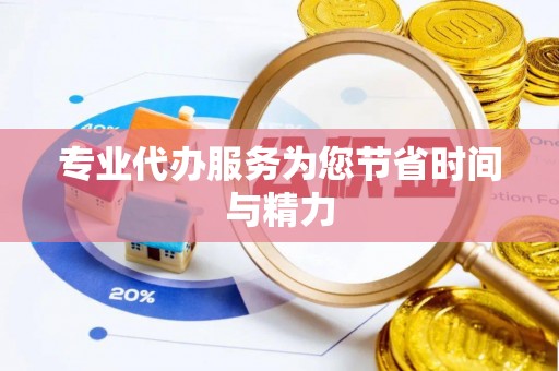 西夏专业代办服务为您节省时间与精力