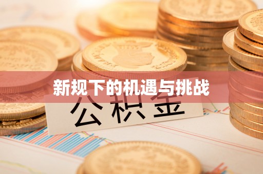 西夏新规下的机遇与挑战