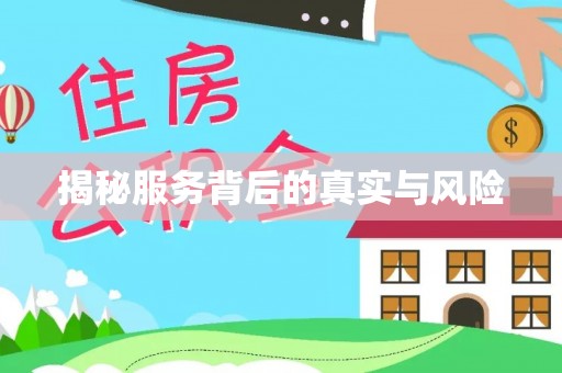 西夏揭秘服务背后的真实与风险