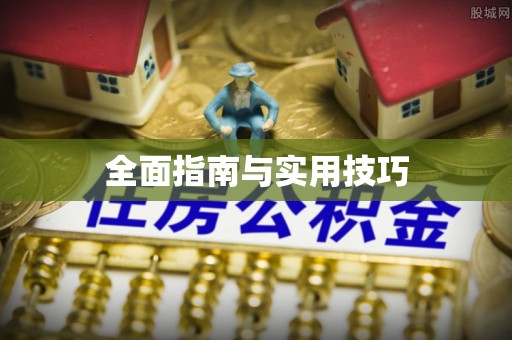 西夏全面指南与实用技巧