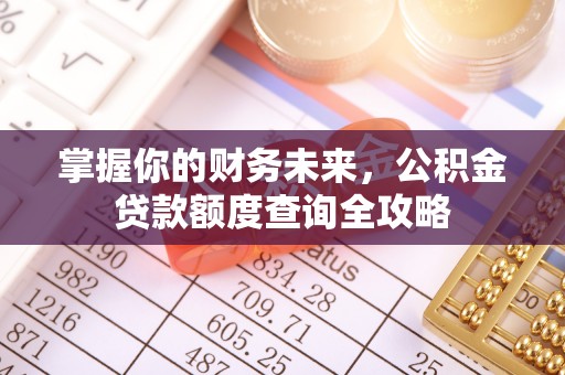 西夏掌握你的财务未来，公积金贷款额度查询全攻略