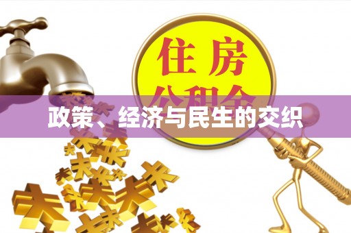 西夏政策、经济与民生的交织