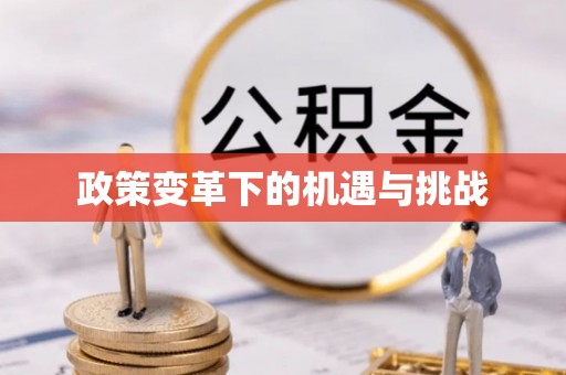 西夏政策变革下的机遇与挑战