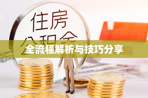 西夏全流程解析与技巧分享