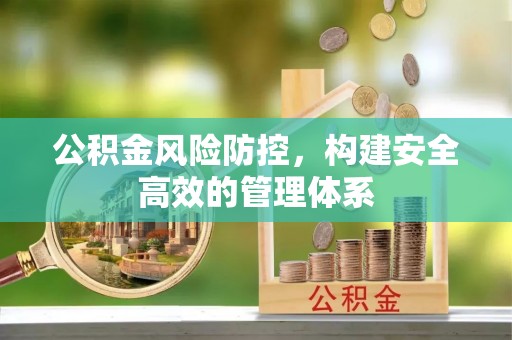 西夏公积金风险防控，构建安全高效的管理体系