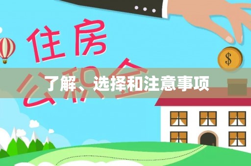 西夏了解、选择和注意事项