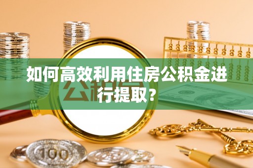 西夏如何高效利用住房公积金进行提取？