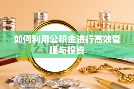 西夏如何利用公积金进行高效管理与投资
