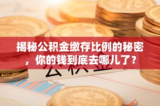 西夏揭秘公积金缴存比例的秘密，你的钱到底去哪儿了？
